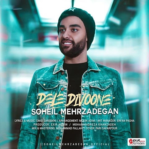 Cover artwork for Dele Divoone by Soheil Mehrzadegan